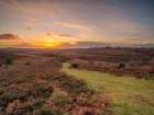 Sunset, New Forest, England Art Print