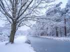 Canal on a snowy day Art Print