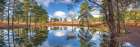 Canal through forest Art Print