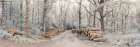 Logs stacked along the pathway in forest Art Print