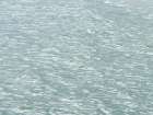 Water Surface Art Print