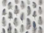 Speckled feathers in rows Art Print