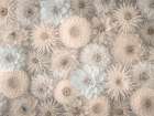 Full frame of Dahlia Flowers Art Print