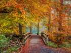 Wooden bridge in autumn forest Art Print