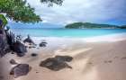 Tranquil beach in St Vincent, Caribbean islands Art Print