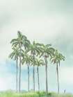 Palm trees against sky Art Print
