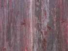 wooden door, Basseterre, Saint Kitts and Nevis Abstract Art Print