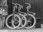 Bicycles parked along the street Art Print