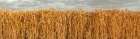 Wheat Field Art Print