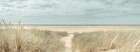 Grassy sand dunes on the sea coast under blue sky Art Print
