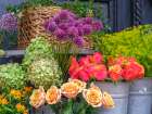 Flower shop Art Print