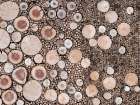 Full frame of log pieces Landscape Print
