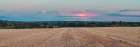 Panoramic view of Wheat Field at sunset Art Print