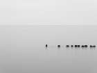 Groynes in ocean water, Walberswick, Southwold Art Print