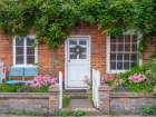 Apartment entrance doors with creepers on brick wall Art Print