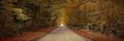 Road through autumn forest Art Print