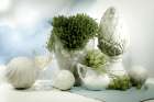 Stillife II Art Print