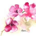 WATERCOLOR POPPIES III