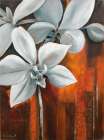 WHITE ORCHID II