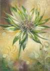 FANTASY FLOWER