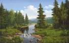 Forest Creek