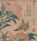 Peony and Canary, 1833