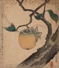 Grasshopper eating persimmon, 1850