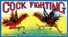 Cock Fighting