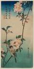 Small bird on a branch of Kaidozakura