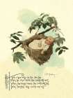 Nursery Rhymes: Hush A Bye Baby