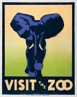 Visit the zoo - Elephant