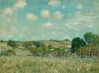 Meadow, 1875