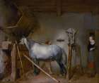 Horse Stable