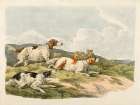 Running Hounds, 1817