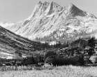 Boaring River, Kings Region, Kings River Canyon, proVintageed as a national park, California, 1936