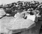 Moraine, Rocky Mountain National Park, Colorado, ca. 1941-1942