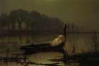 The Lady of Shalott