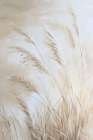 Pampas Grass in the Wind Art Print