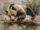 Sleepy Bear Art Print by Acorn And Ivory Designs