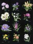 Birth Month Flowers Art Print