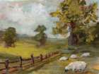 Feed My Sheep Art Print