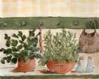 Kitchen Herbs Art Print
