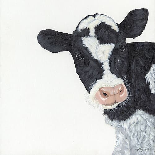Cow Art Print
