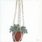 Hanging House Plant Art Print