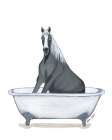 Horse in Tub Art Print