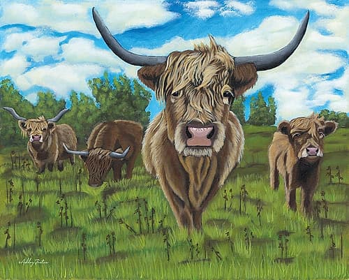 A Morning Graze Art Print by Ashley Justice