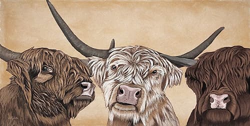 Highland Trio Art Print