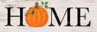 Pumpkin Home Art Print