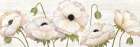 Poppy Parade Art Print