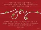 Joy Luke 2:10,11 Art Print